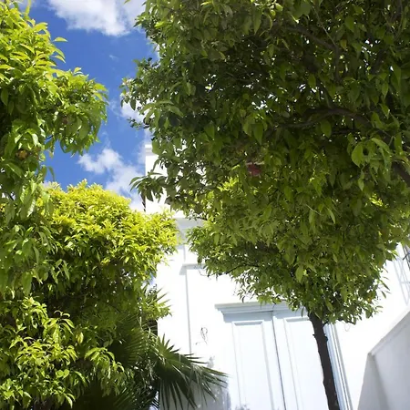 Calle Almendros Villa *